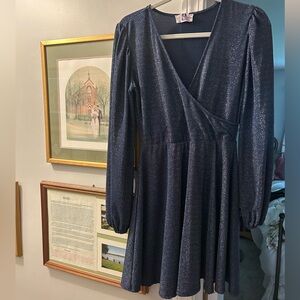 Sage Shimmering Midnight Blue Long Sleeve Dress